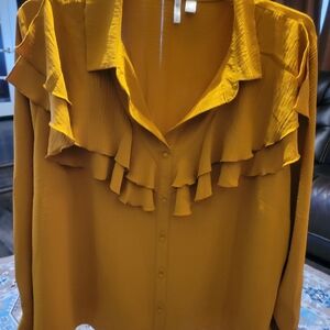 Beautiful Ruffle Collar Blouse